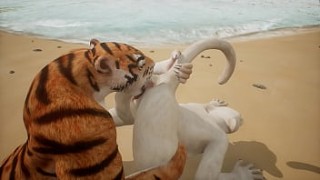 Lioness and south america sexy Tiger eat each other&#039s pussies - Wildlife